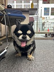 社員画像
